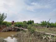 Lưu Giữ Hình Ảnh Làng Quê - Ký ức tuổi thơ